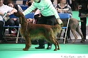 Crufts2011 660